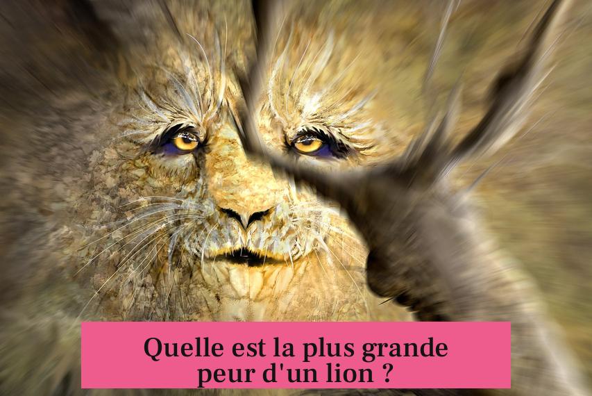Quelle est la plus grande peur d'un lion ?