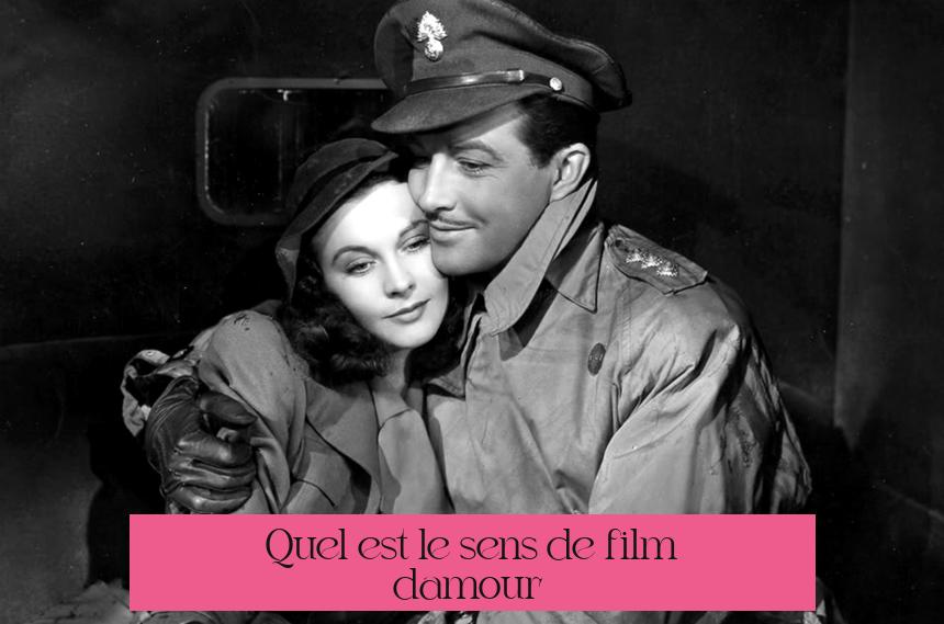 Quel est le sens de "film d'amour" ?