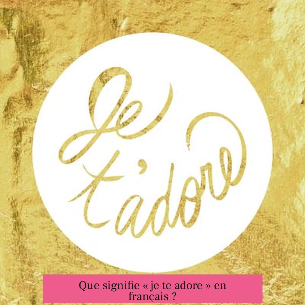 Que signifie « je te adore » en français ?