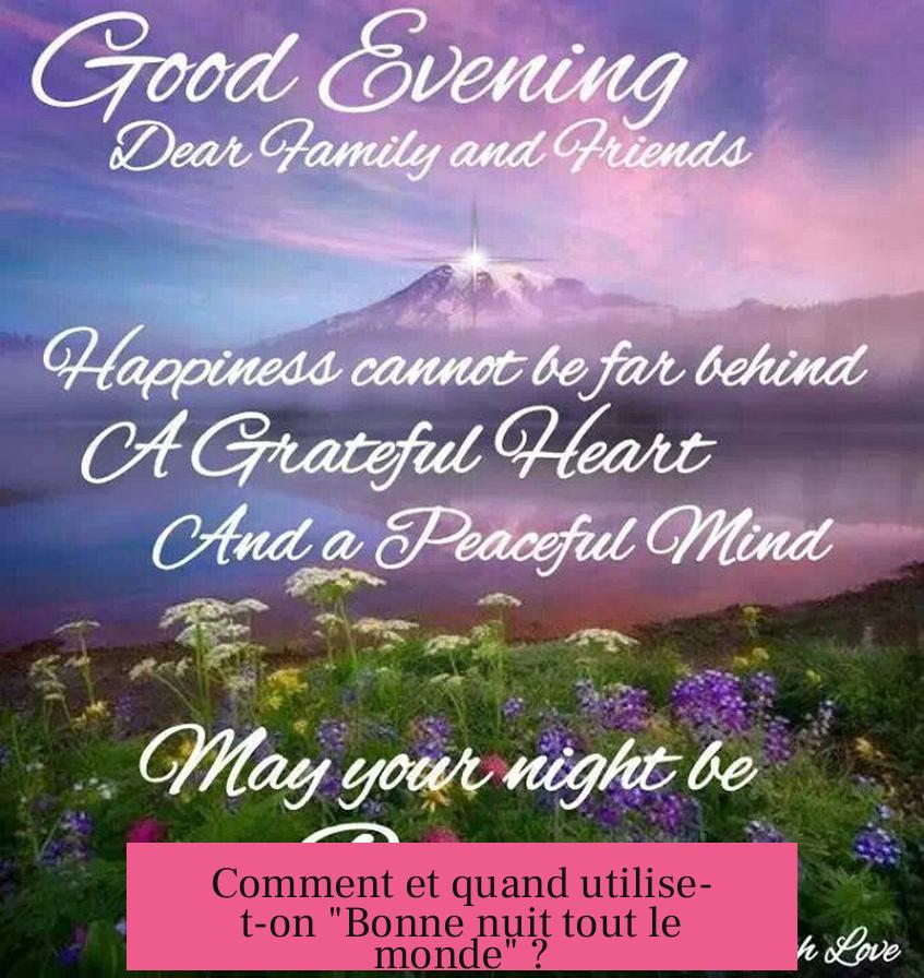 Comment et quand utilise-t-on "Bonne nuit tout le monde" ?