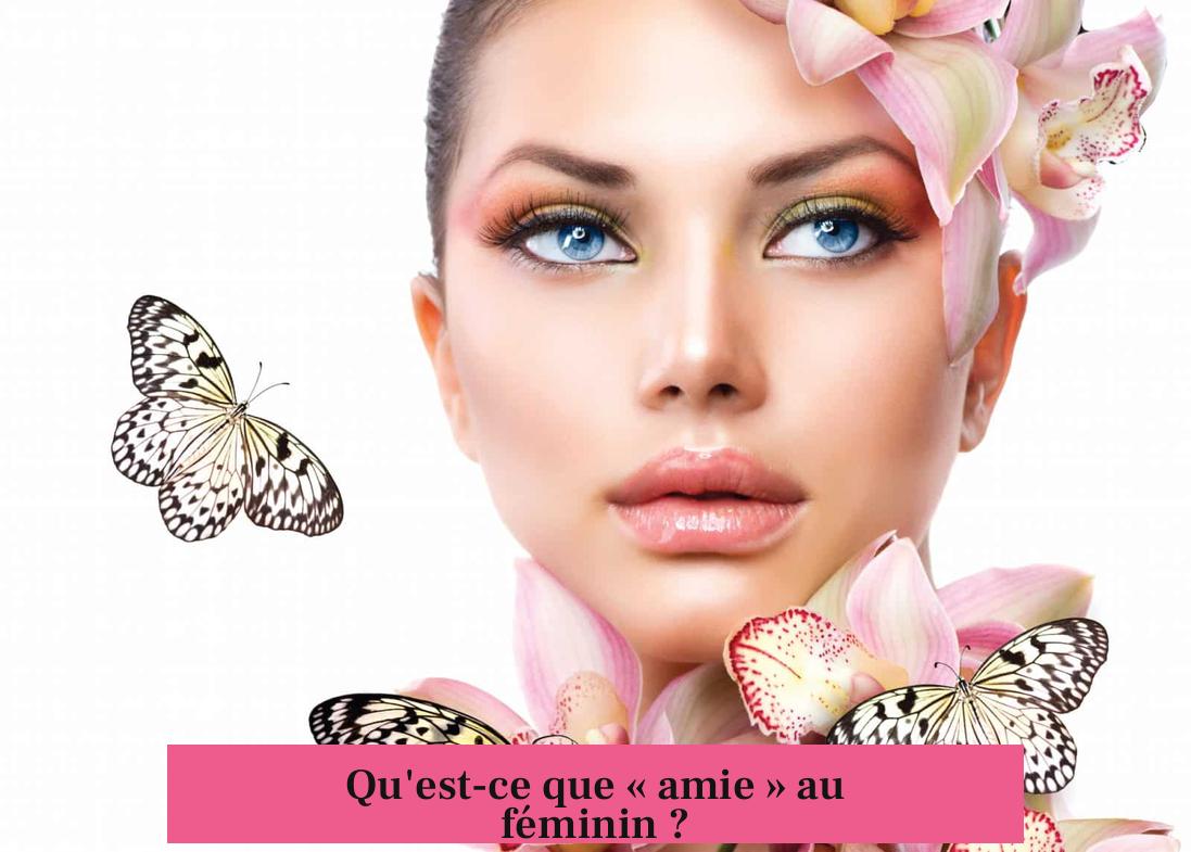 Qu'est-ce que « amie » au féminin ?