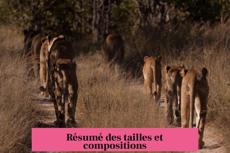 Résumé des tailles et compositions