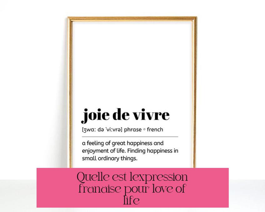Quelle est l’expression française pour "love of life" ?