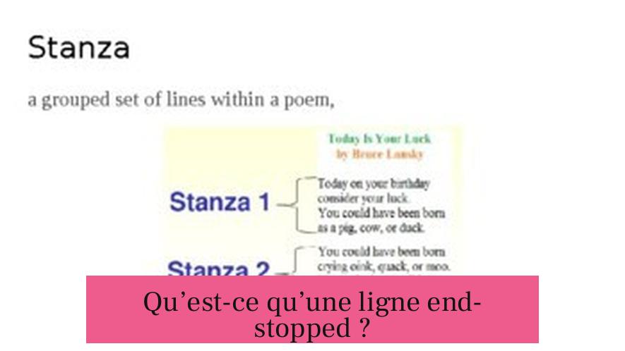 Qu’est-ce qu’une ligne end-stopped ?