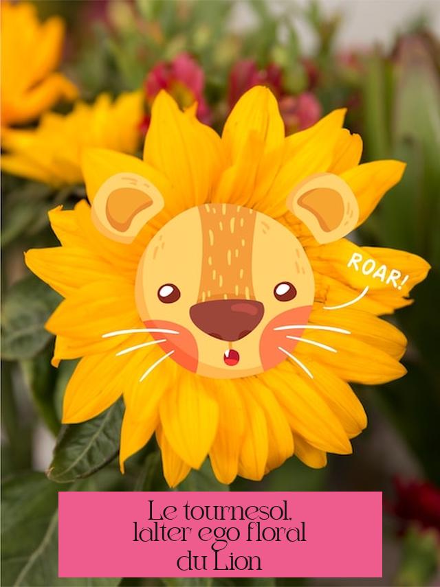 Le tournesol, l’alter ego floral du Lion