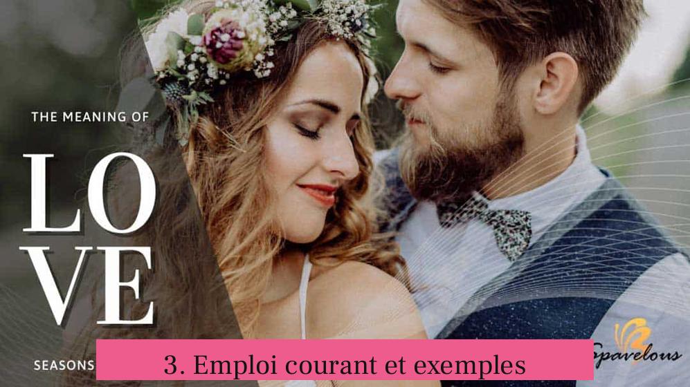 3. Emploi courant et exemples