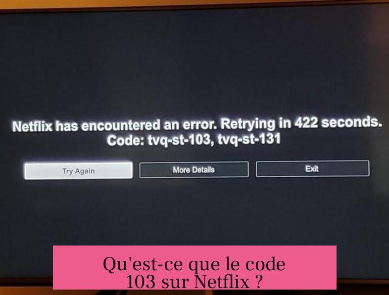 Qu'est-ce que le code 103 sur Netflix ?