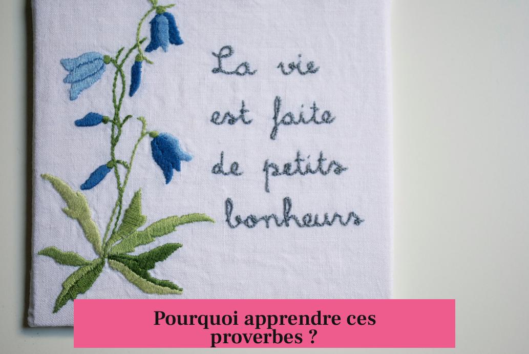 Pourquoi apprendre ces proverbes ?
