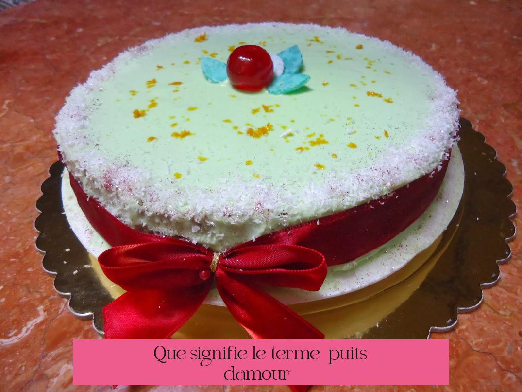 Que signifie le terme « puits d’amour » ?
