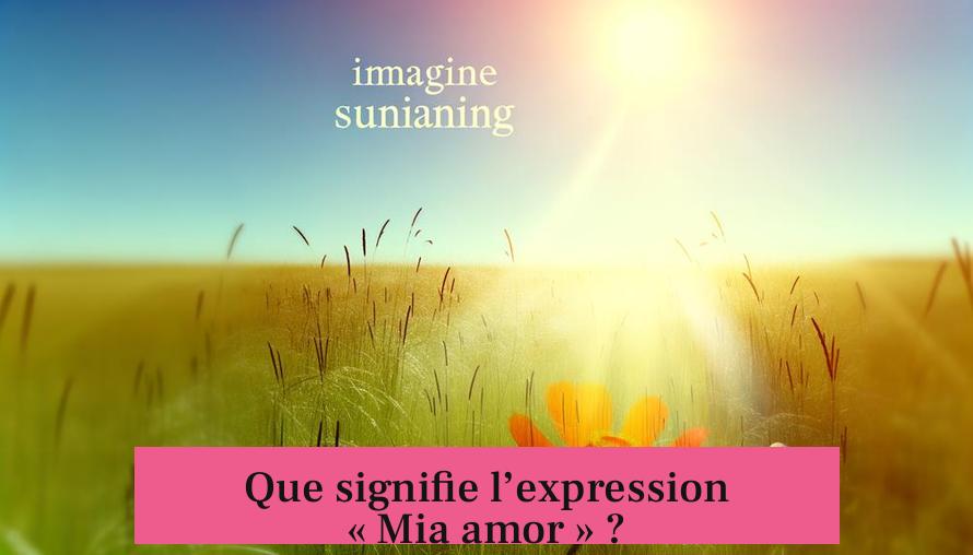 Que signifie l’expression « Mia amor » ?
