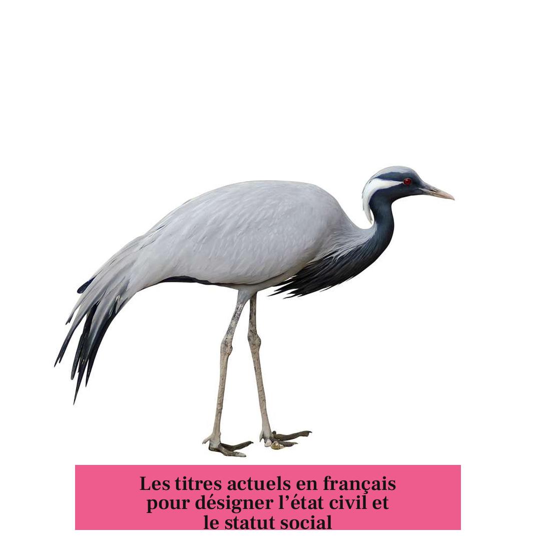 Les titres actuels en français pour désigner l’état civil et le statut social