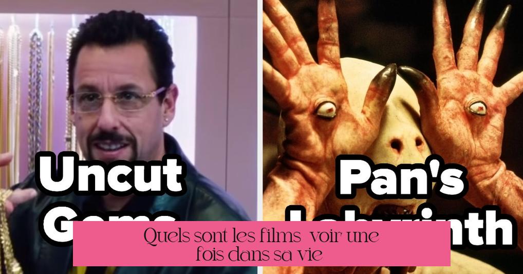 Quels sont les films à voir une fois dans sa vie ?
