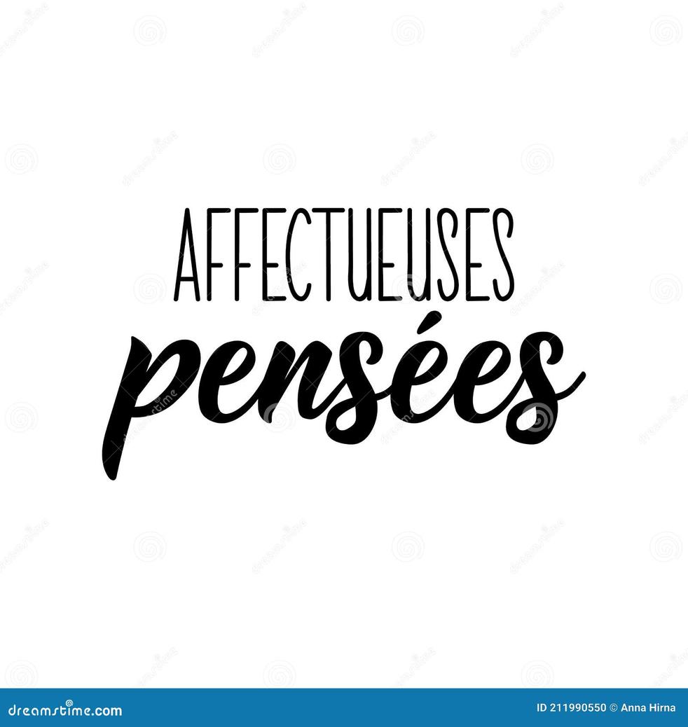 Alors, pourquoi "ma belle" séduit-elle les francophones et amateurs de la langue ? C’est ce qu’on va découvrir!