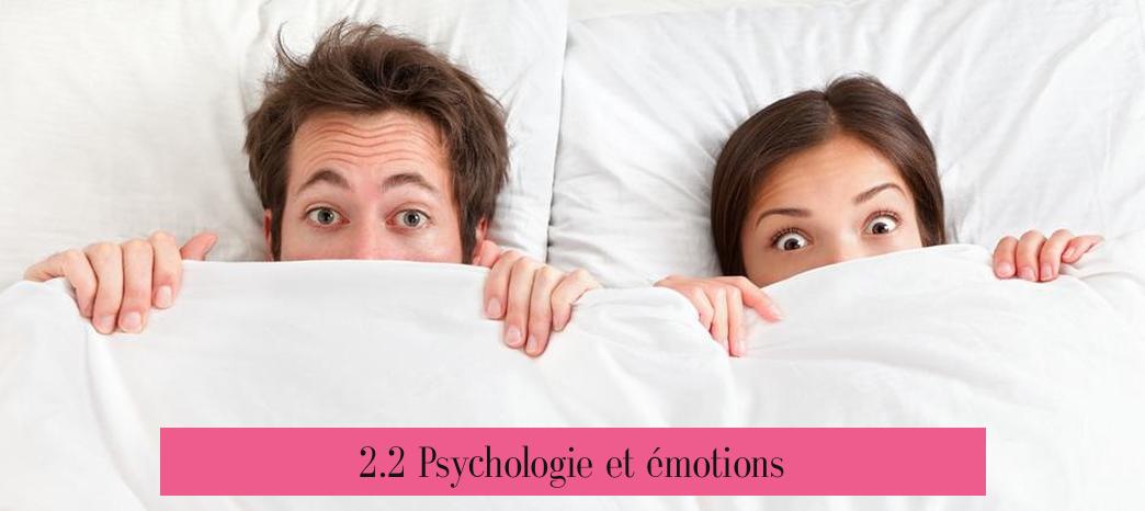 2.2 Psychologie et émotions