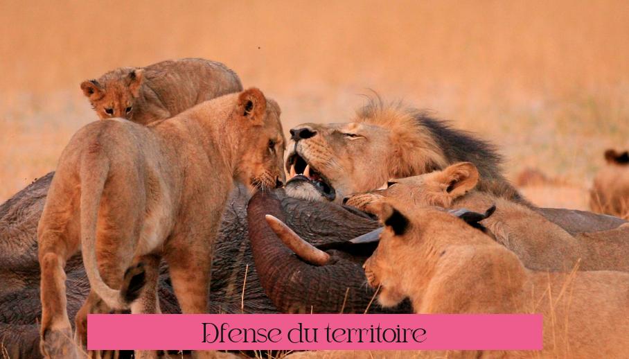 Défense du territoire