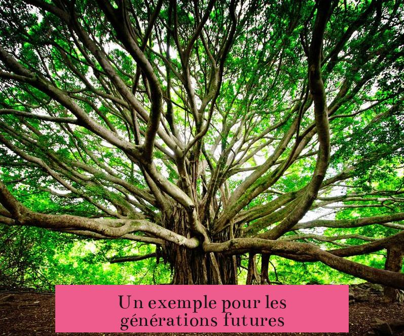 Un exemple pour les générations futures