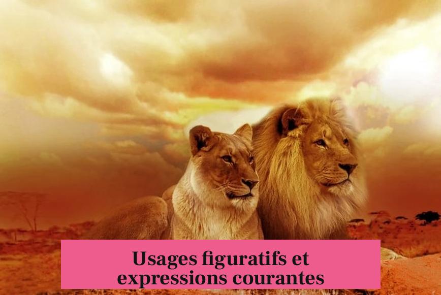 Usages figuratifs et expressions courantes