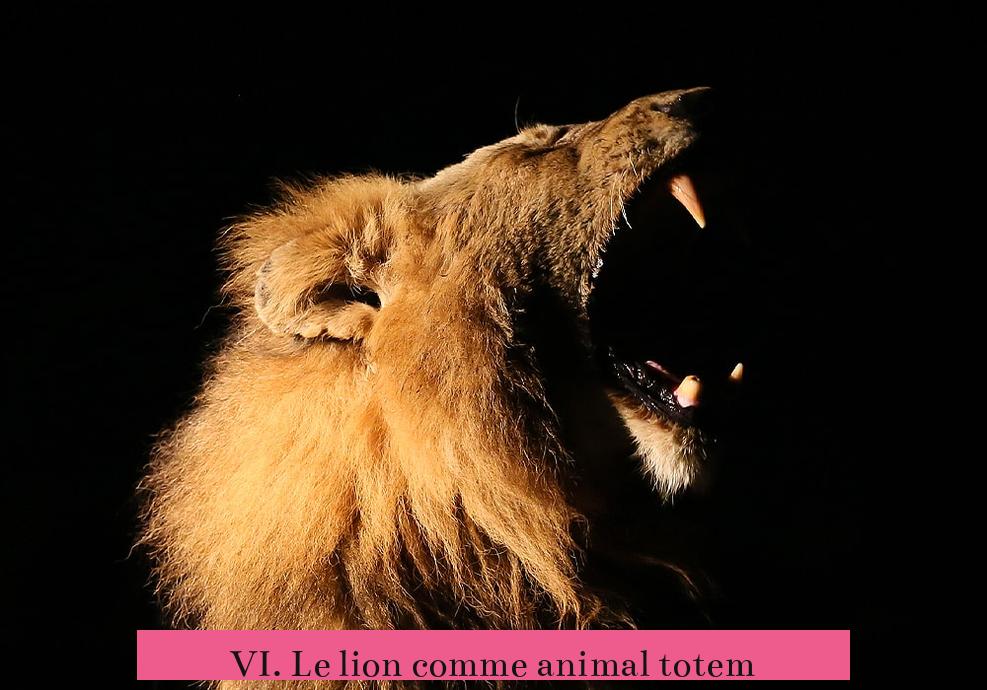 VI. Le lion comme animal totem