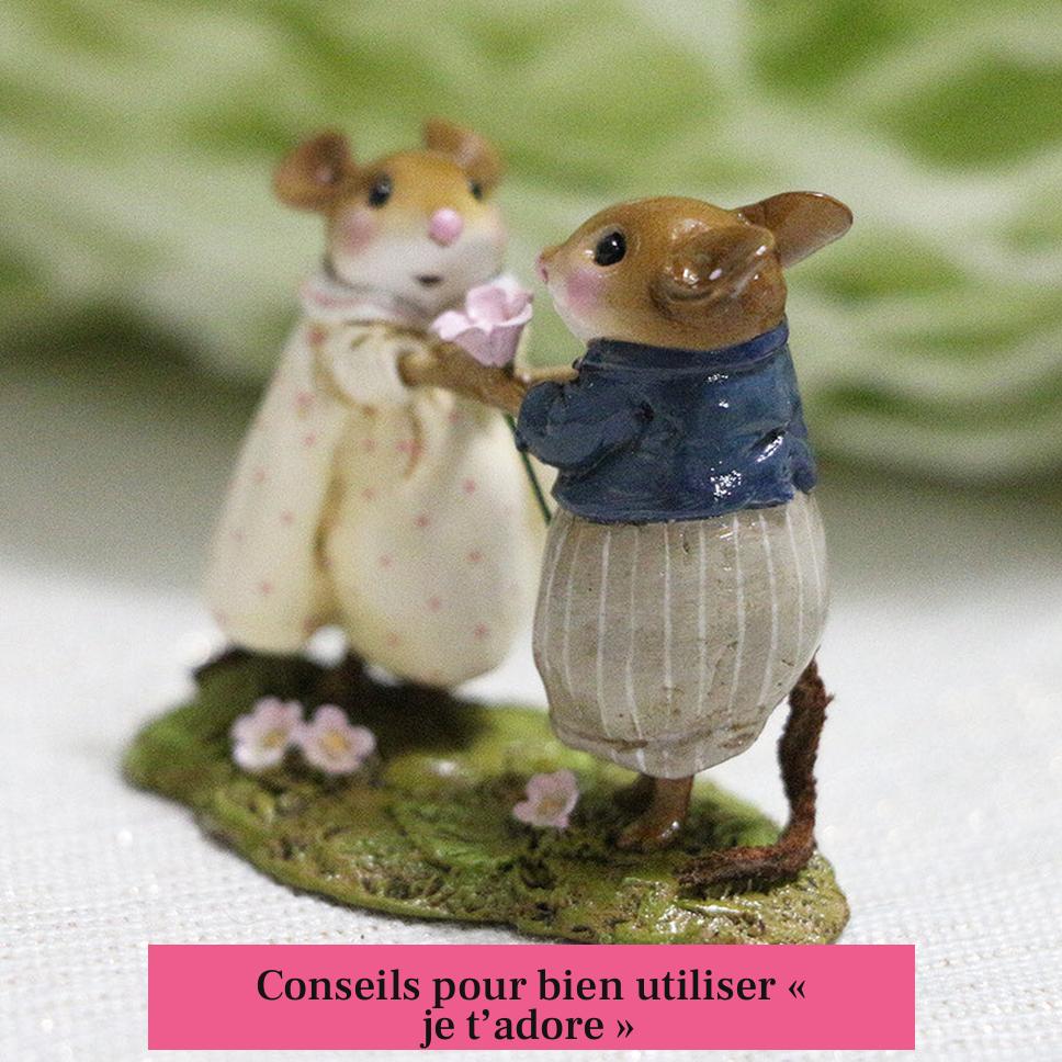 Conseils pour bien utiliser « je t’adore »