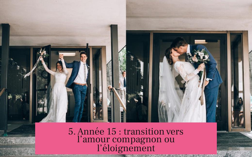 5. Année 15 : transition vers l’amour compagnon ou l’éloignement