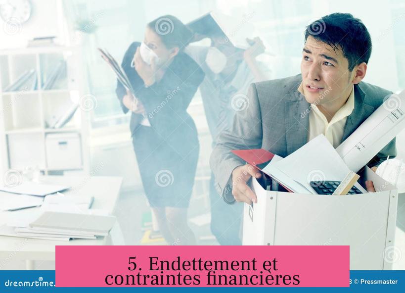 5. Endettement et contraintes financières