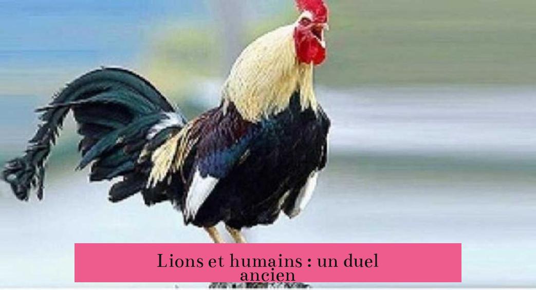 Lions et humains : un duel ancien