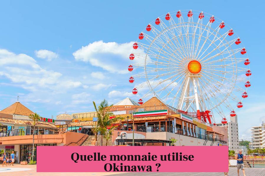 Quelle monnaie utilise Okinawa ?
