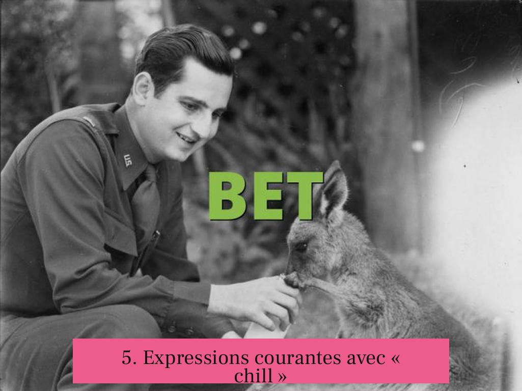 5. Expressions courantes avec « chill »