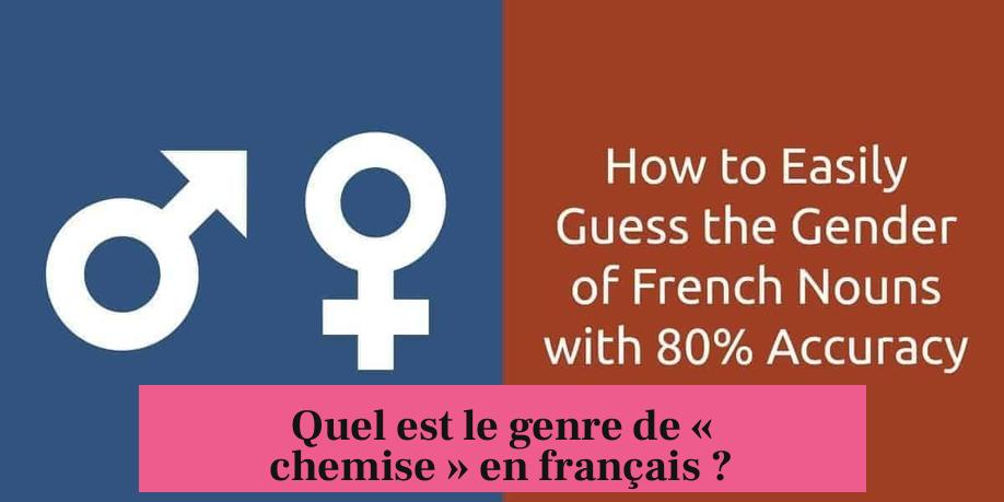 Quel est le genre de « chemise » en français ?
