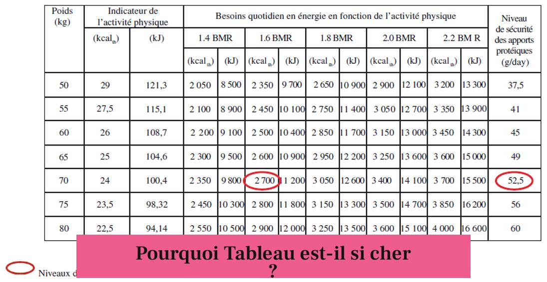 Pourquoi Tableau est-il si cher ?