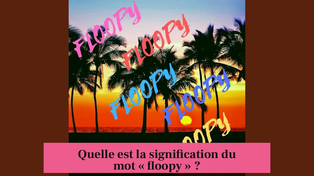 Quelle est la signification du mot « floopy » ?