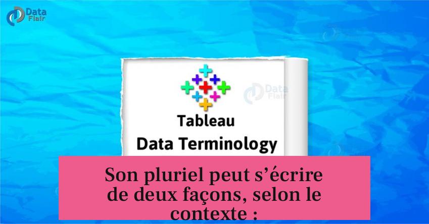 Son pluriel peut s’écrire de deux façons, selon le contexte :