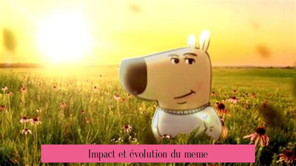 Impact et évolution du meme