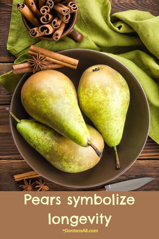 4. Pourquoi la poire dans les rêves ? Mieux comprendre nos songes