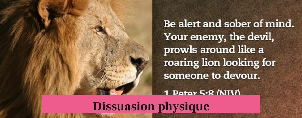 Dissuasion physique
