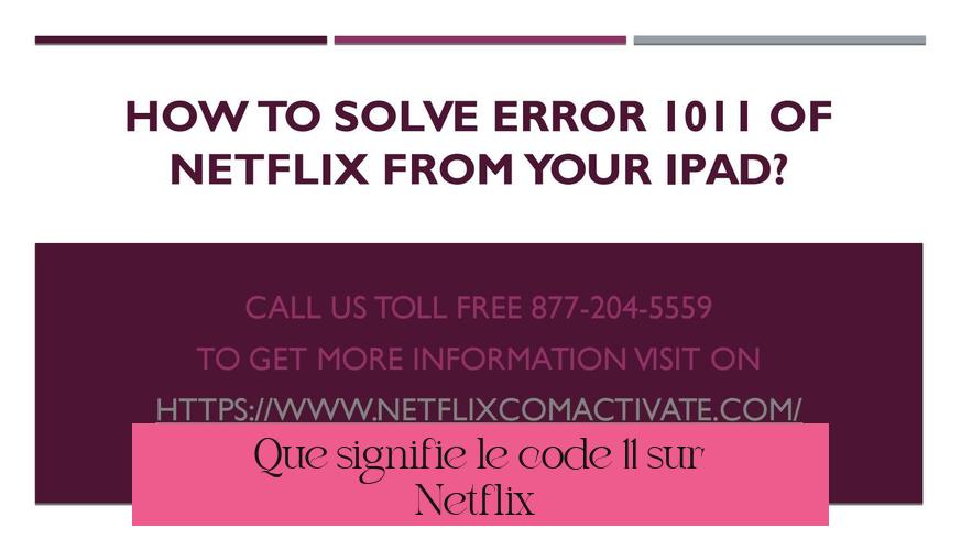 Que signifie le code 11 sur Netflix ?