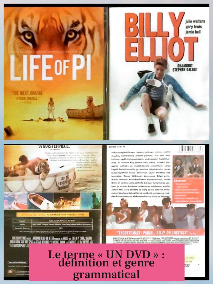 Le terme « UN DVD » : définition et genre grammatical