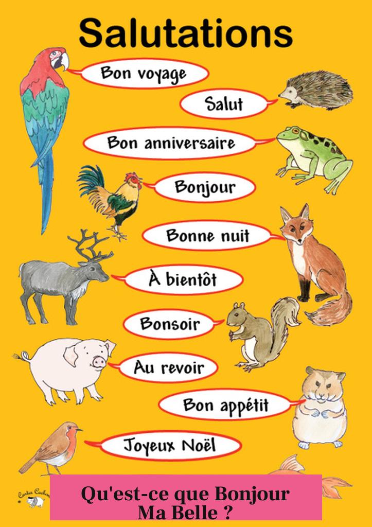 Qu'est-ce que Bonjour Ma Belle ?