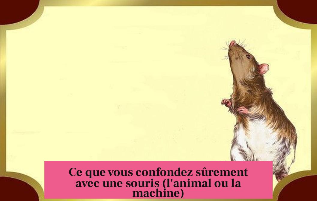 Ce que vous confondez sûrement avec une souris (l'animal ou la machine)