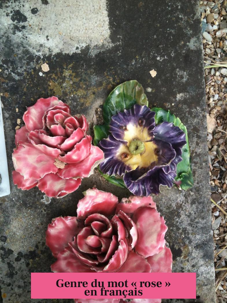 Genre du mot « rose » en français