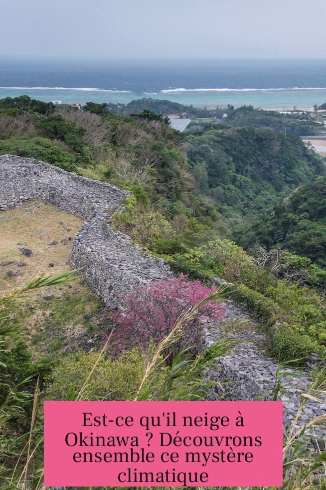 Est-ce qu'il neige à Okinawa ? Découvrons ensemble ce mystère climatique
