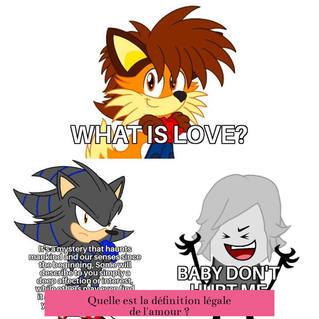 Quelle est la définition légale de l'amour ?