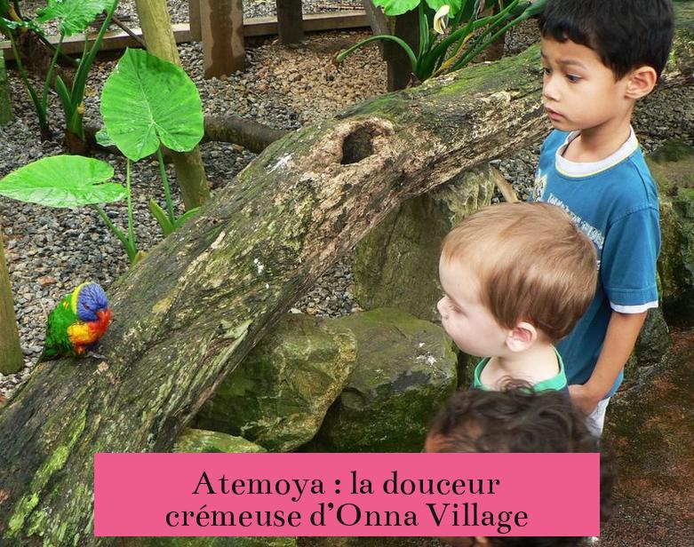 Atemoya : la douceur crémeuse d’Onna Village