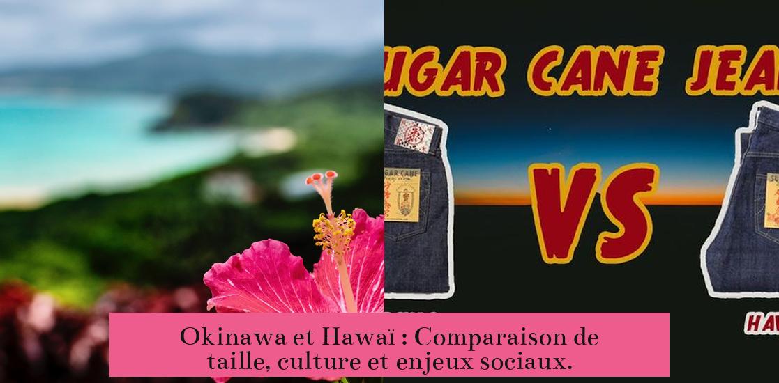 Okinawa et Hawaï : Comparaison de taille, culture et enjeux sociaux.