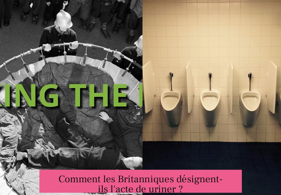 Comment les Britanniques désignent-ils l'acte de uriner ?