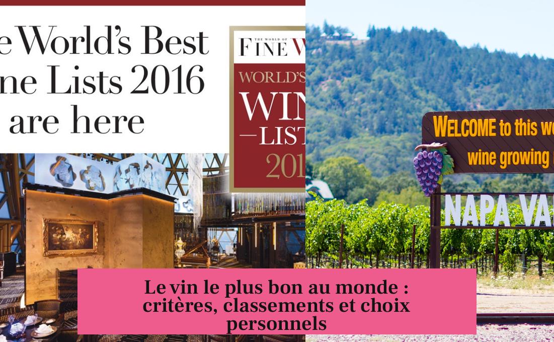 Le vin le plus bon au monde : critères, classements et choix personnels