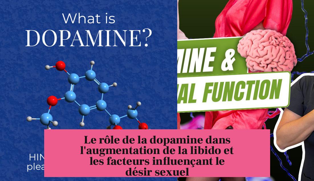 Le rôle de la dopamine dans l'augmentation de la libido et les facteurs influençant le désir sexuel