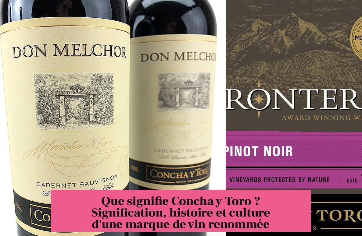Que signifie Concha y Toro ? Signification, histoire et culture d'une marque de vin renommée