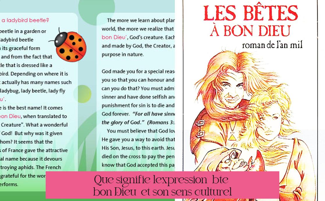 Que signifie l'expression « bête à bon Dieu » et son sens culturel?