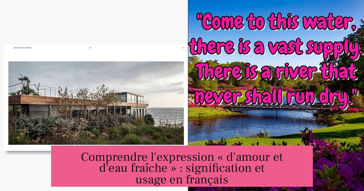 Comprendre l'expression « d'amour et d'eau fraîche » : signification et usage en français